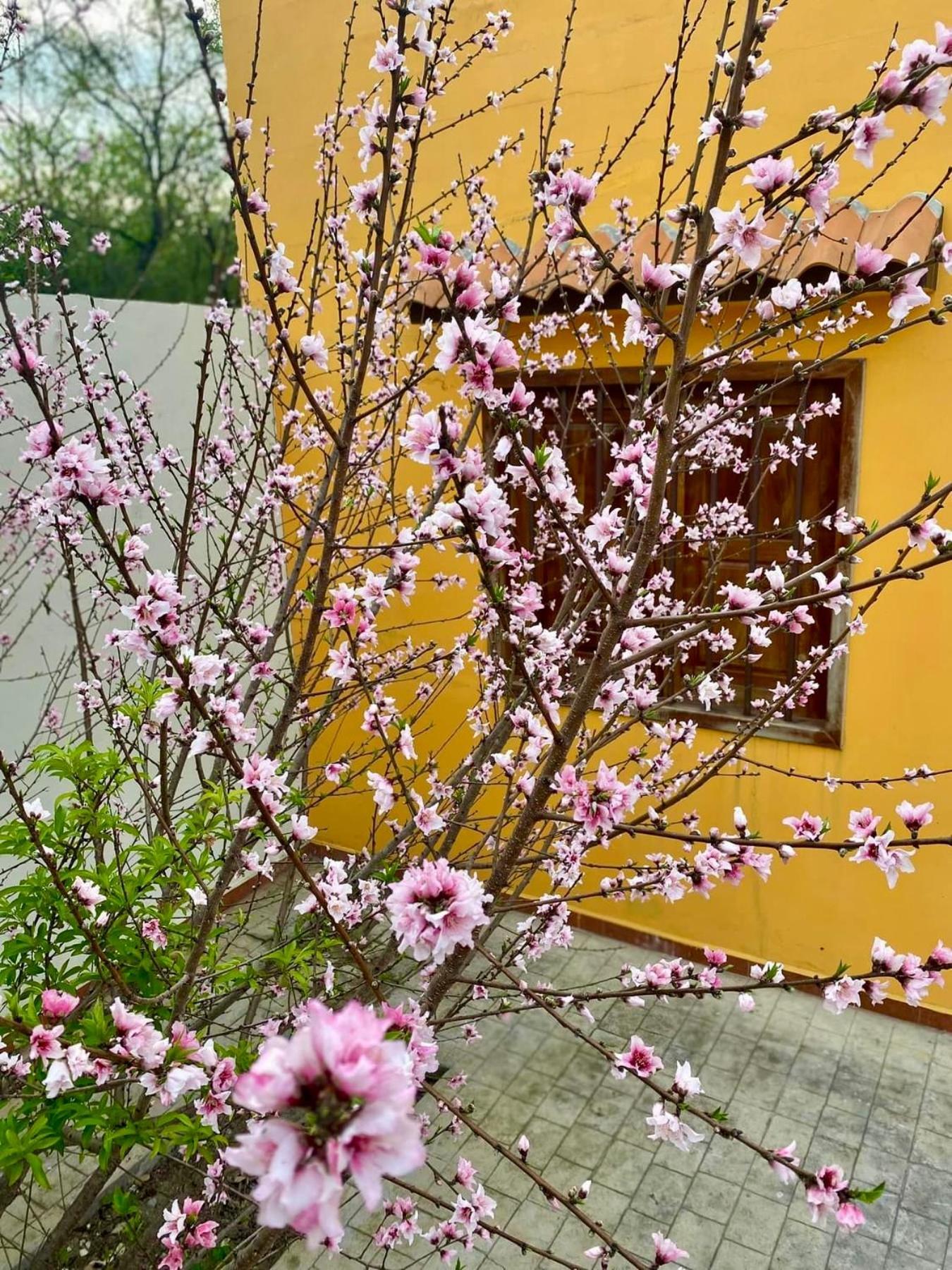 Casa Villa Antigua Montemorelos Zewnętrze zdjęcie